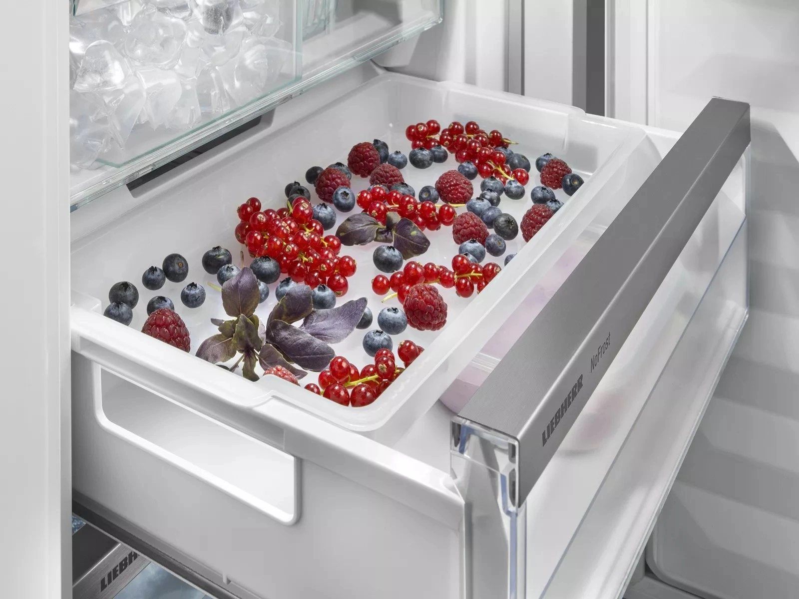 Холодильник с морозильной камерой Liebherr ICBNdi 5183 original21 Холодильник с морозильной камерой Liebherr ICBNdi 5183 original21