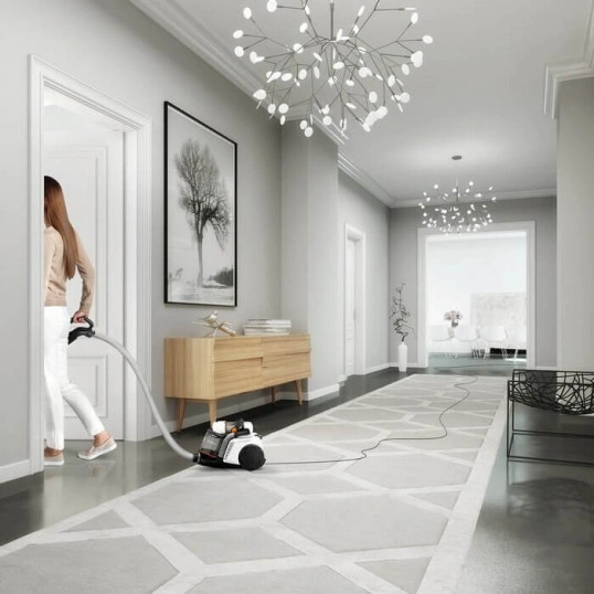 Пылесос Electrolux EUFC8ALRGY original8 Пылесос Electrolux EUFC8ALRGY original8