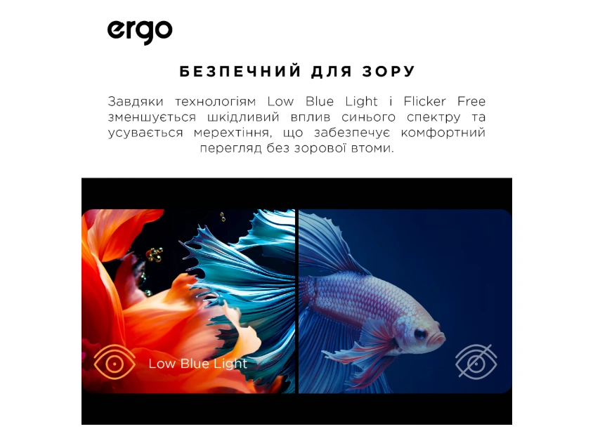 Телевизор Ergo 55JUQ7500 original4 Телевизор Ergo 55JUQ7500 original4